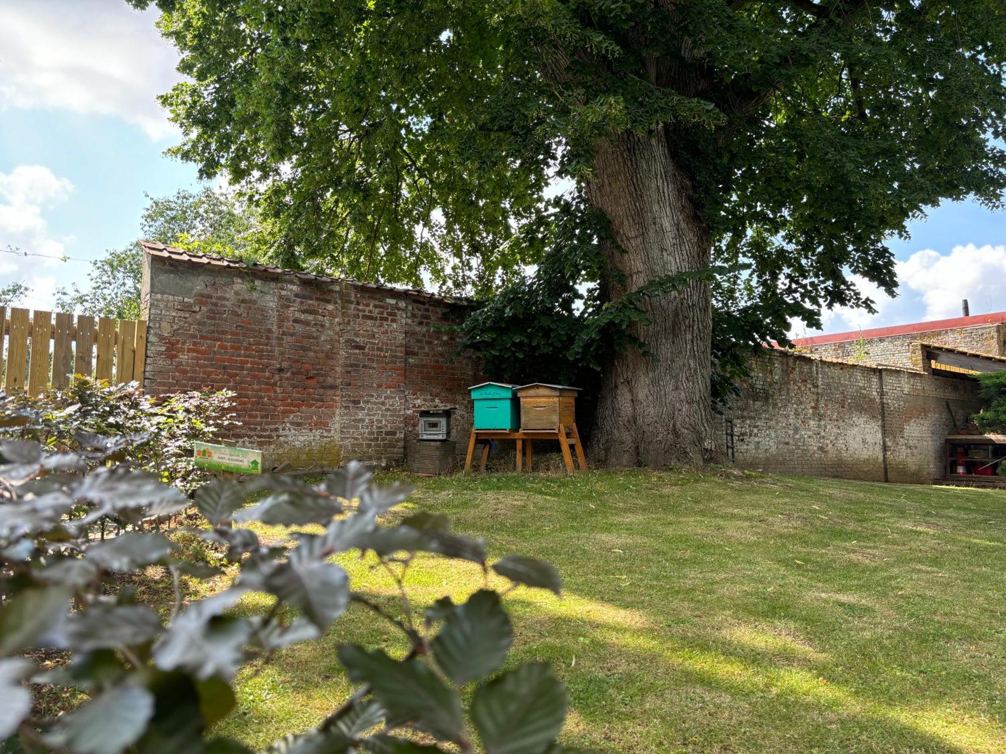Logis Hotel-Restaurant - Le Moulin D'Artres Luaran gambar